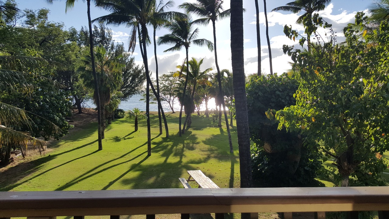 Photo of Others in Kihei