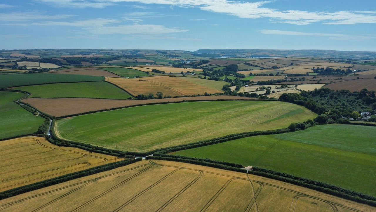 Photo of Others in Chillington
