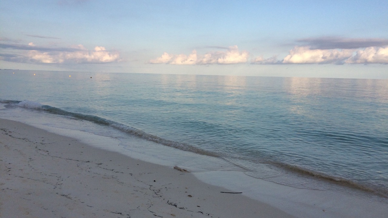 Photo of Others in Discovery Bay