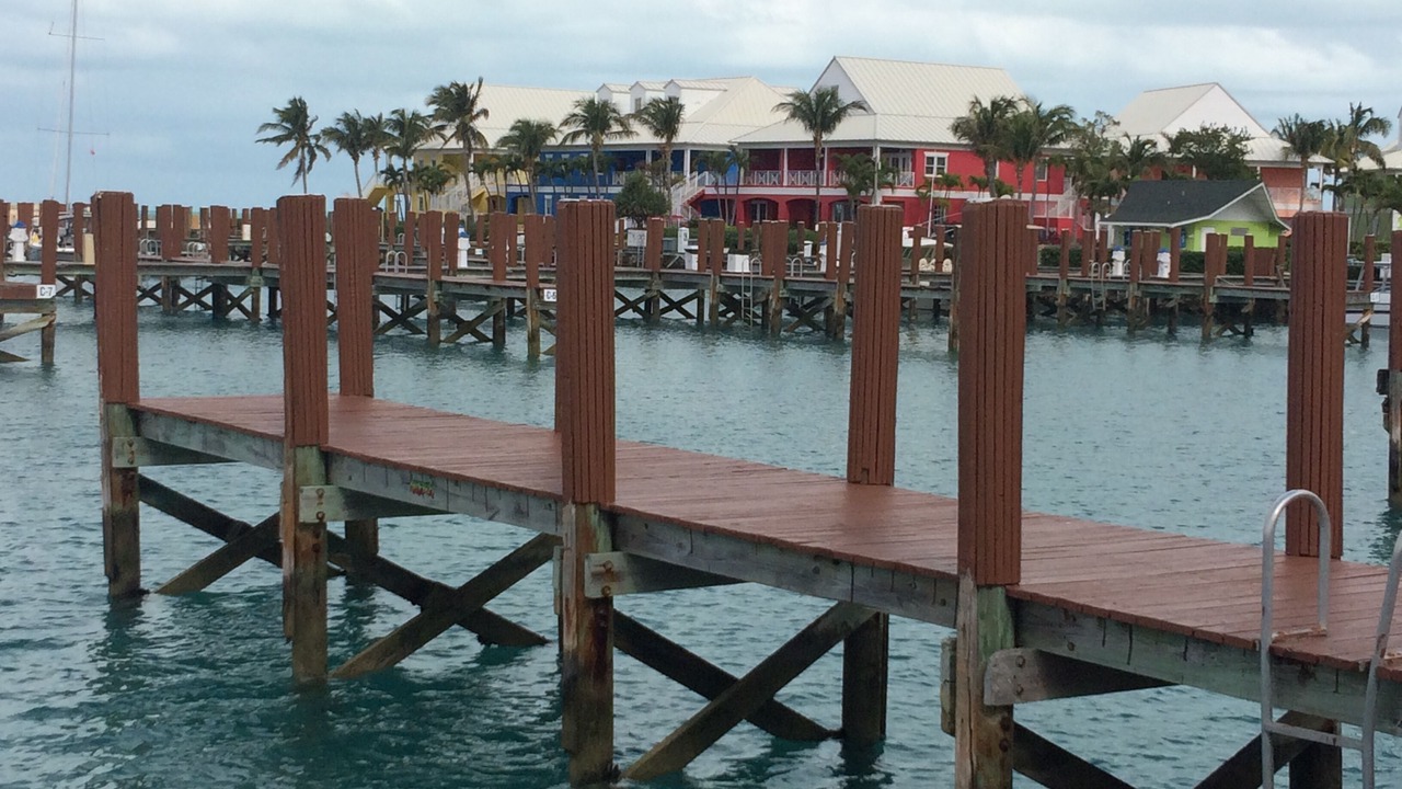Photo of Others in Discovery Bay