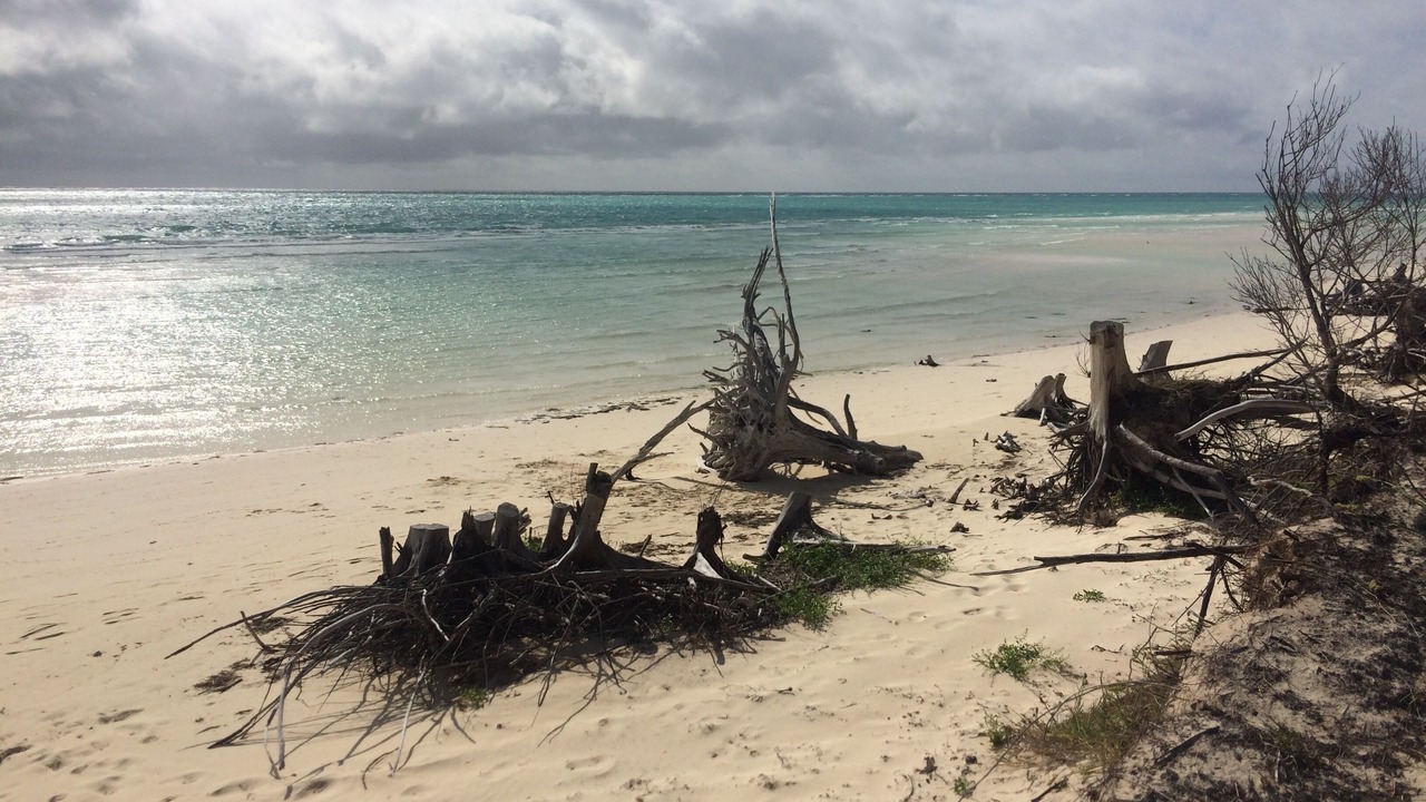 Photo of Others in Discovery Bay