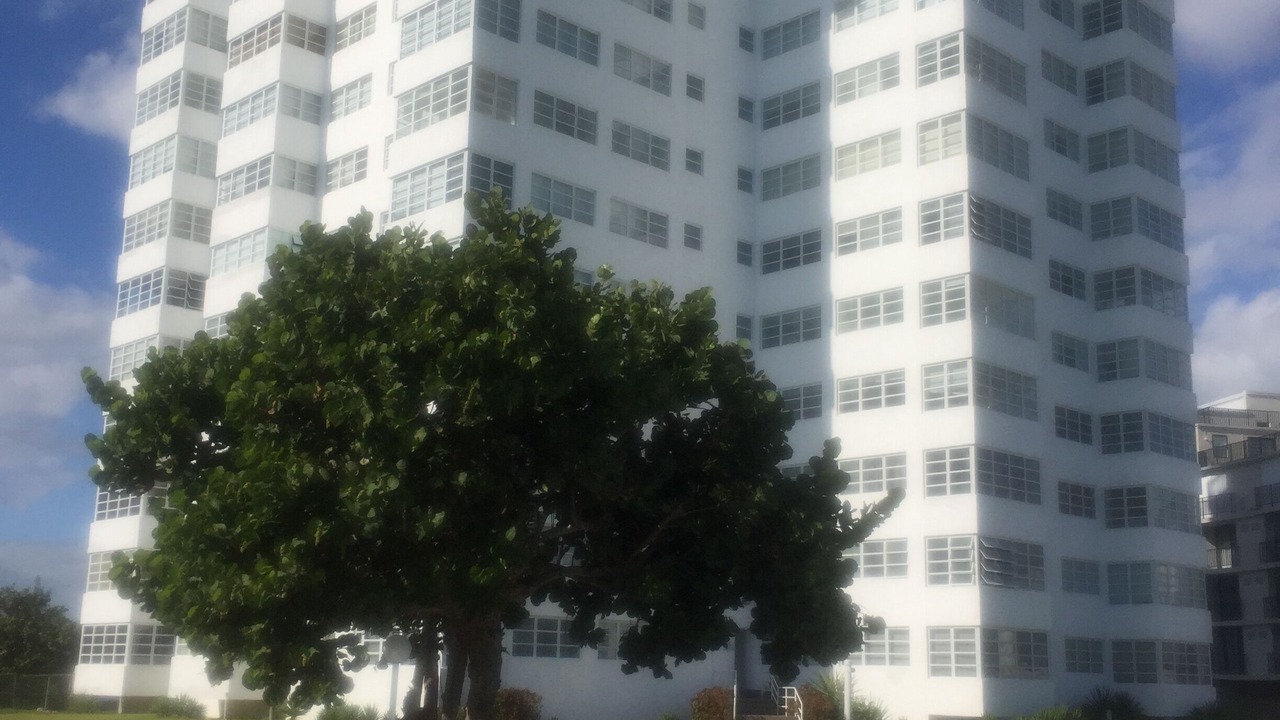Photo of Outdoor in Discovery Bay