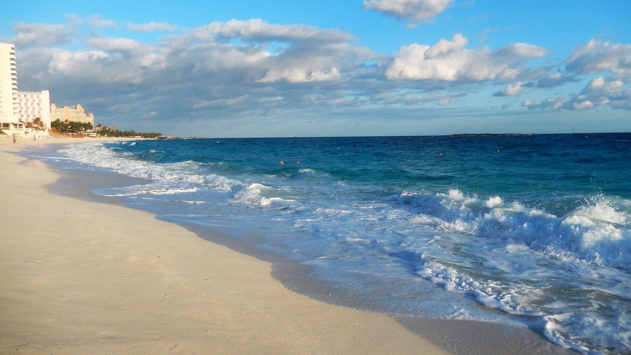 Photo of Others in Paradise Island