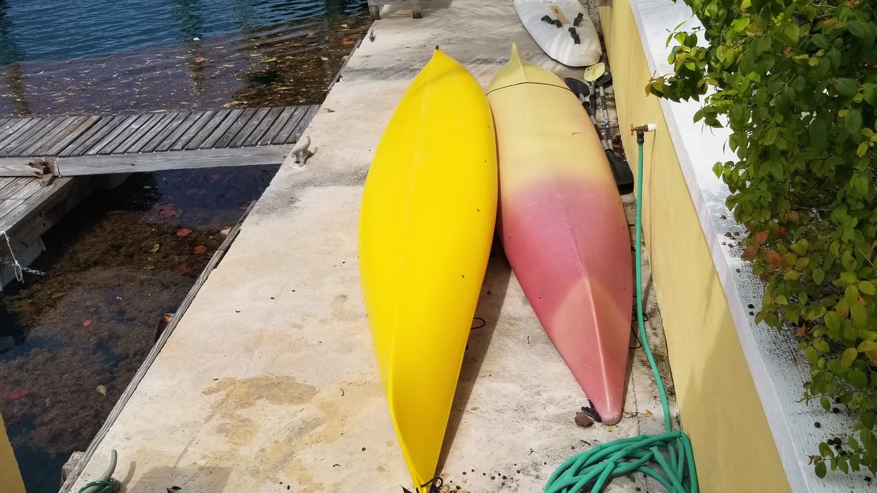 Photo of Others in Bahama Reef