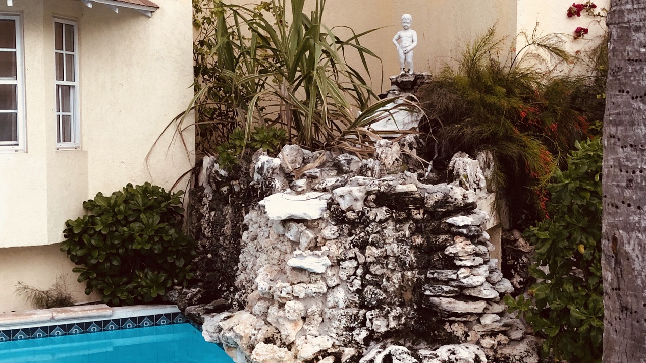 Photo of Outdoor in Paradise Island