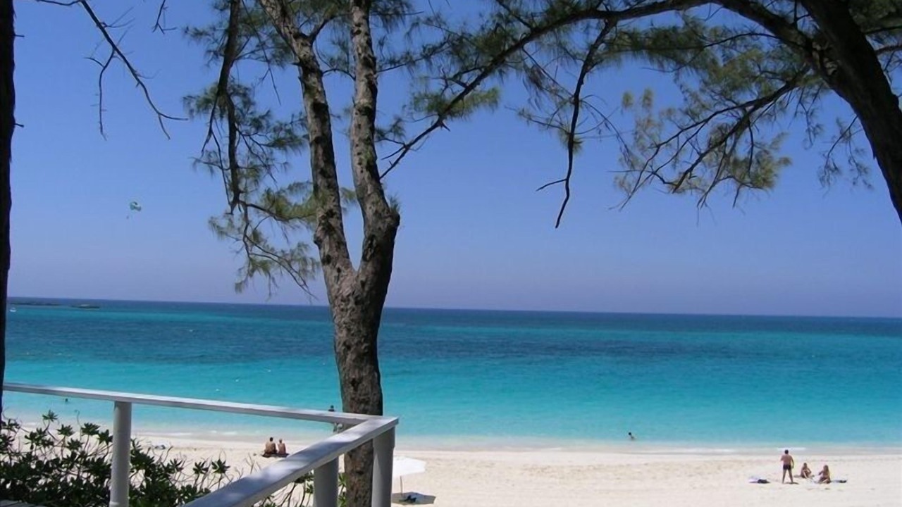 Photo of Others in Paradise Island