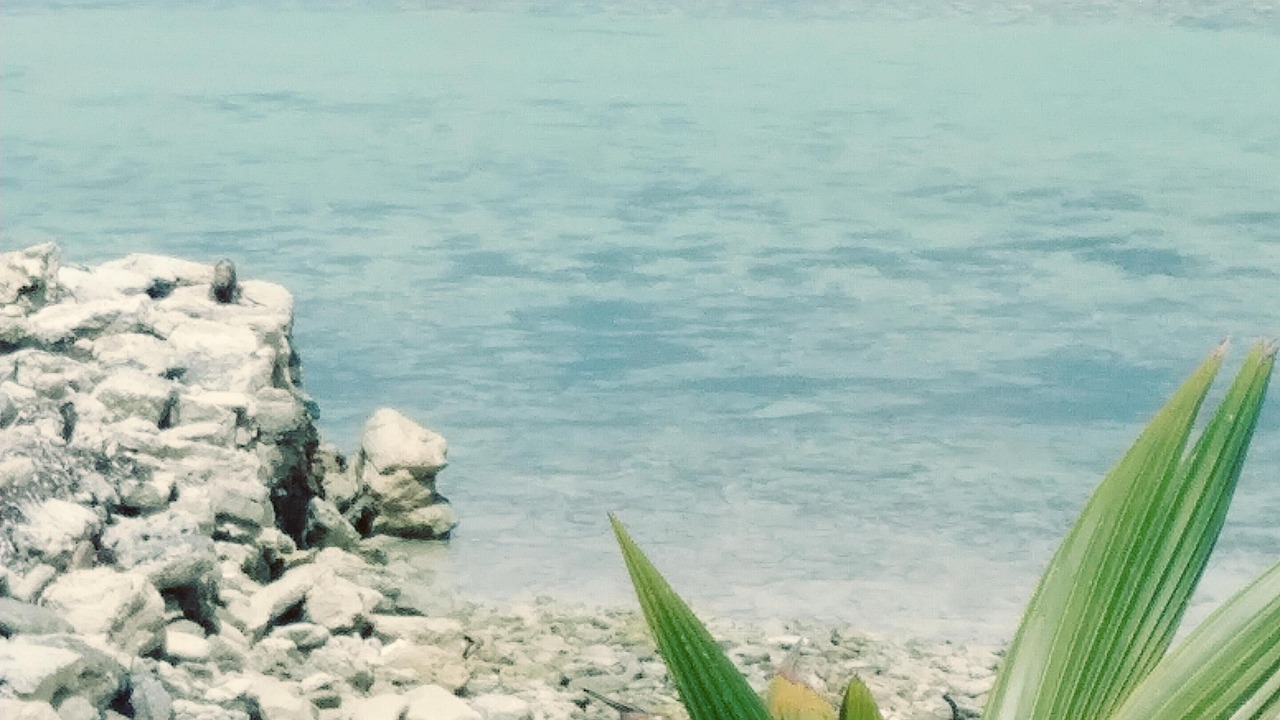 Photo of Others in Sweetings Cay