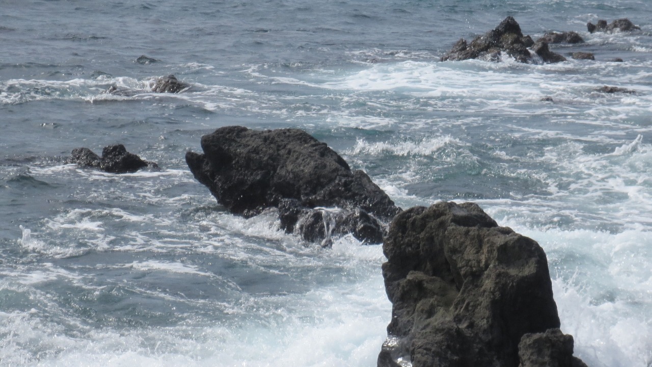 Photo of Others in Captain Cook