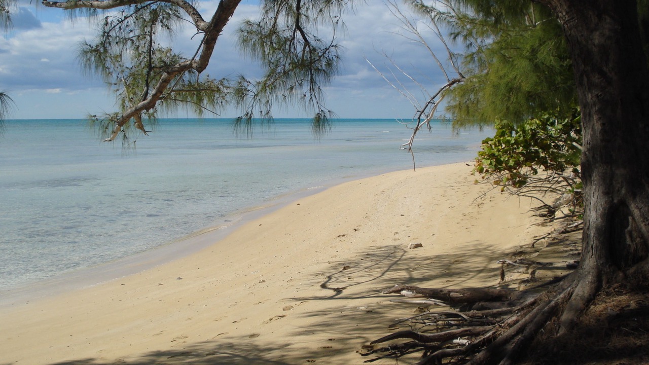 Photo of Others in Coral Harbour