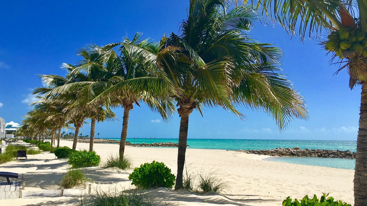 Photo of Others in Palm Cay
