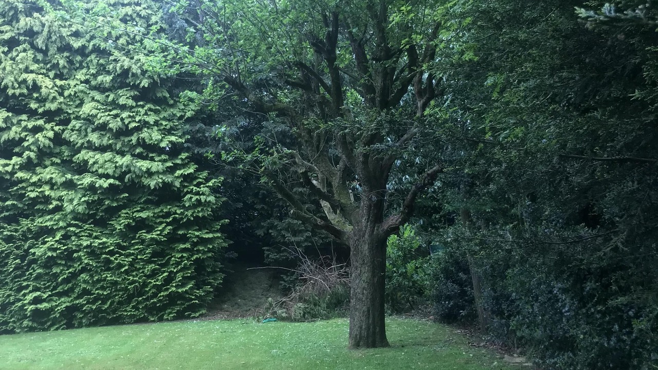 Photo of Outdoor in Luton