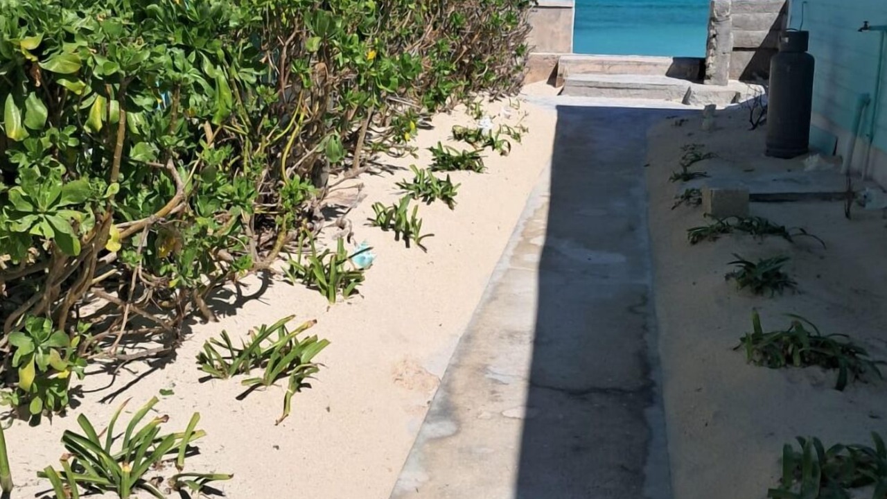 Photo of Outdoor in Andros Town