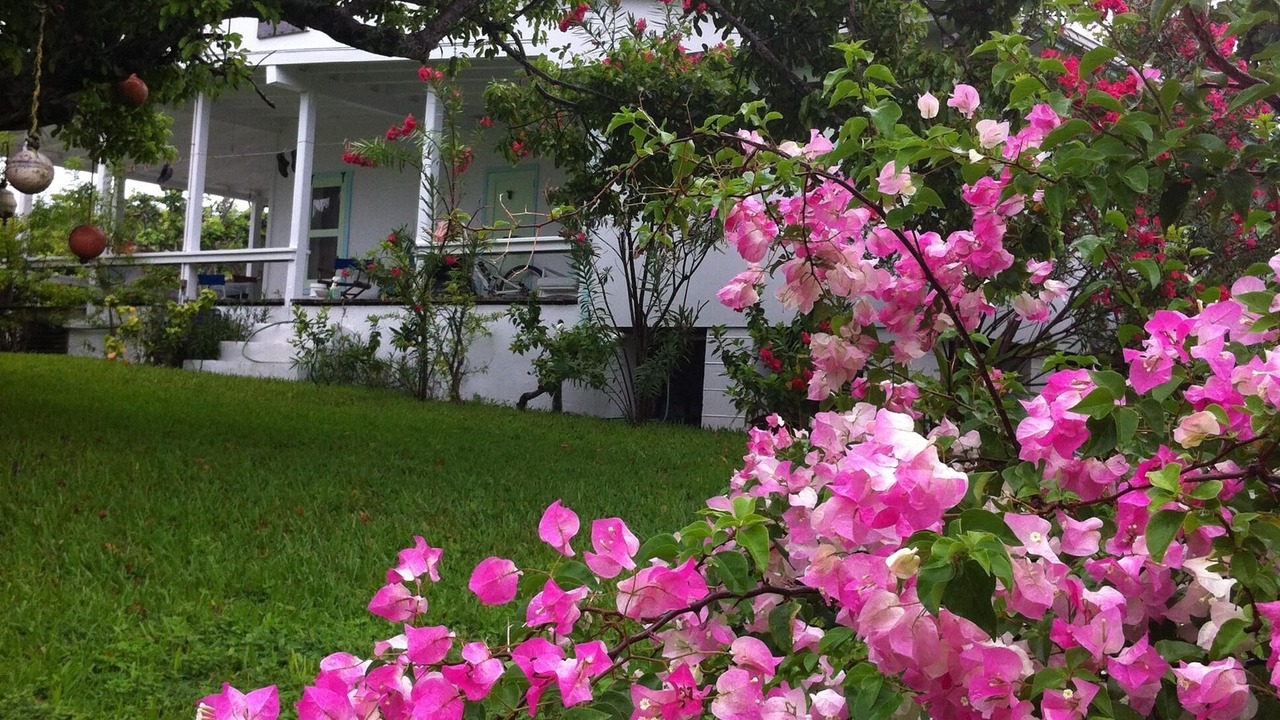 Photo of Outdoor in Man O War Cay
