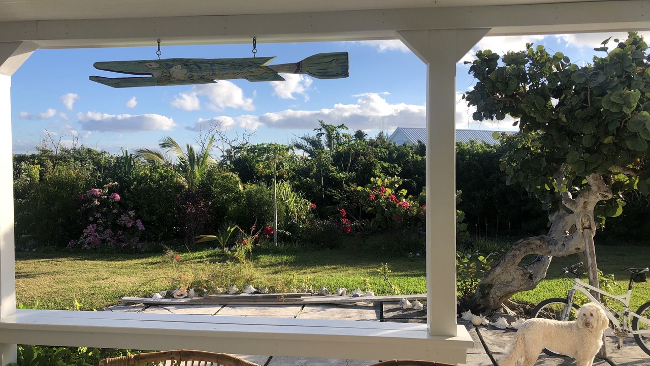 Photo of Outdoor in Man O War Cay