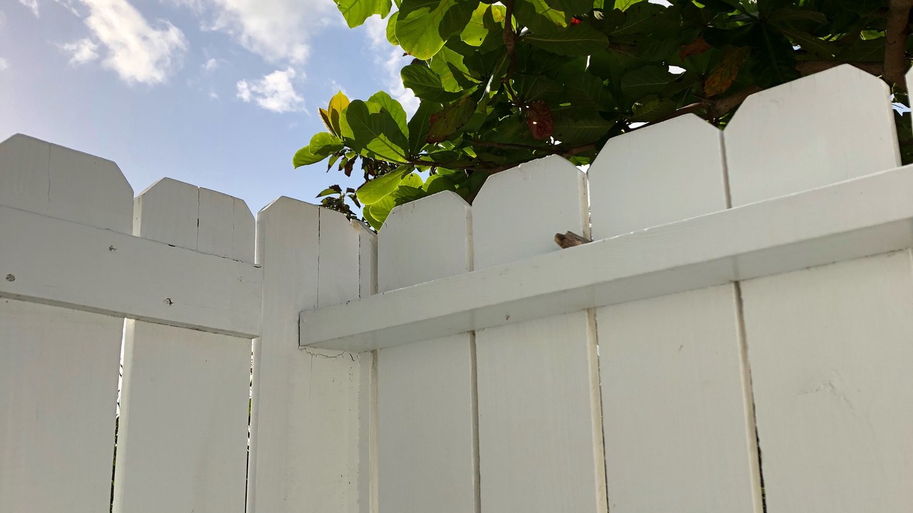 Photo of Others in Man O War Cay