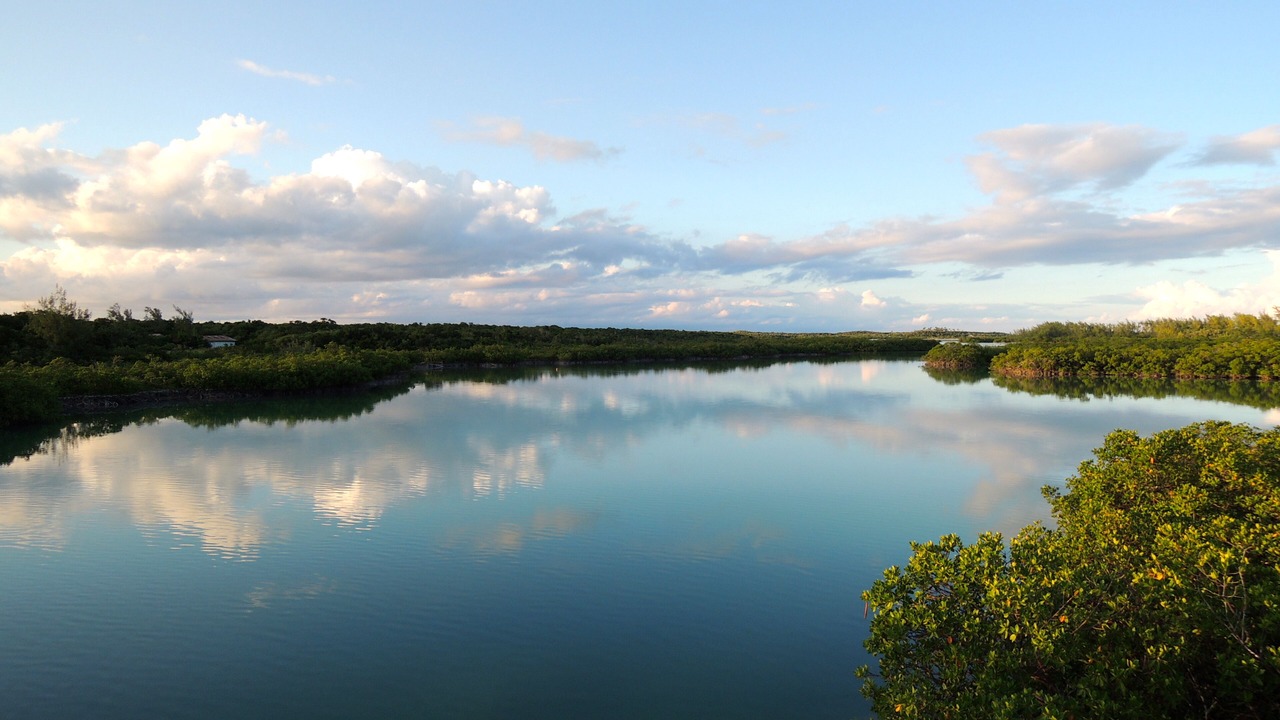 Photo of Outdoor in Savannah Sound