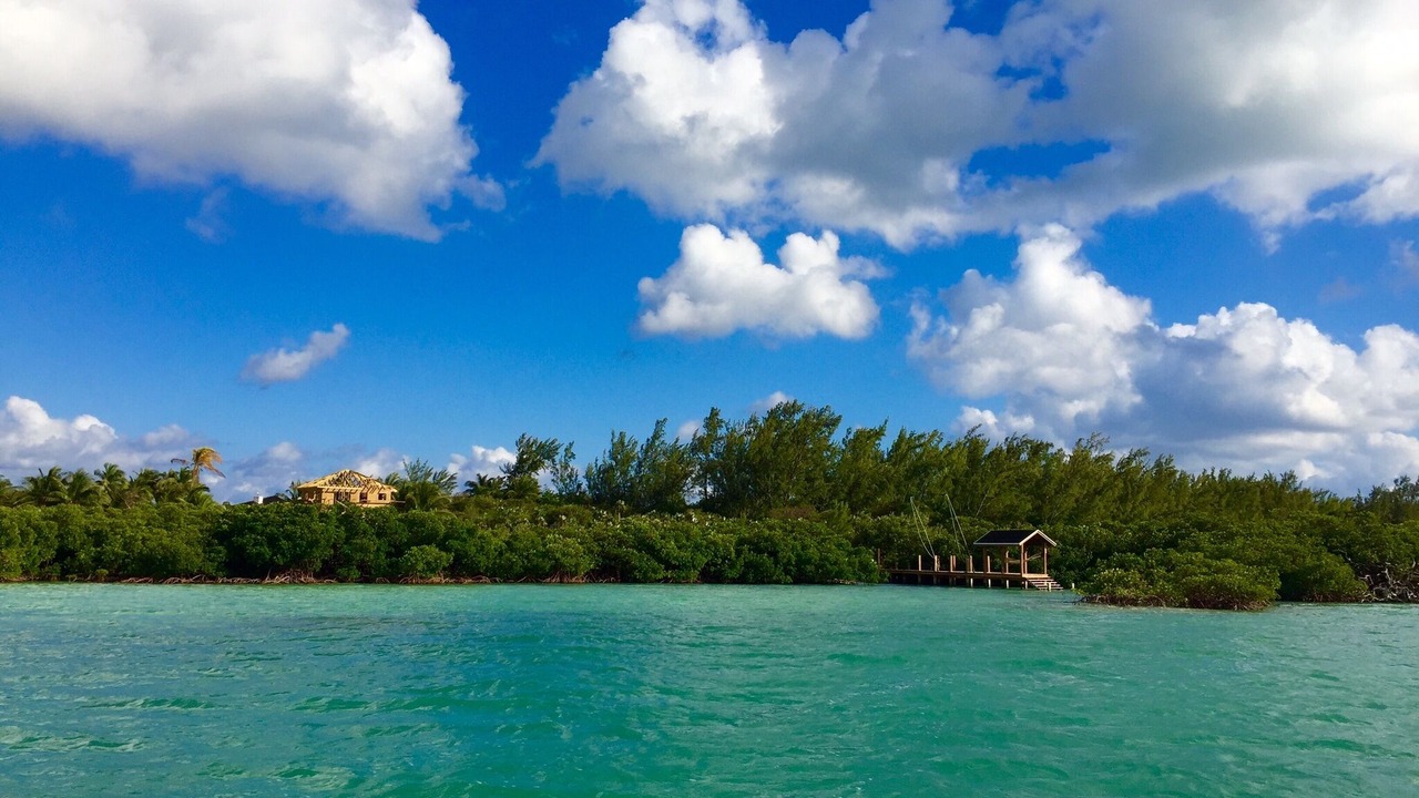 Photo of Outdoor in Savannah Sound