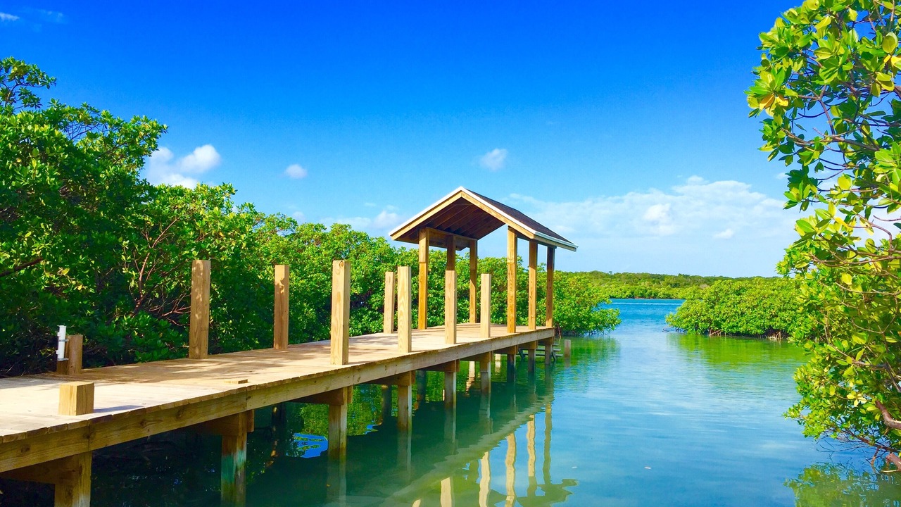 Photo of Outdoor in Savannah Sound