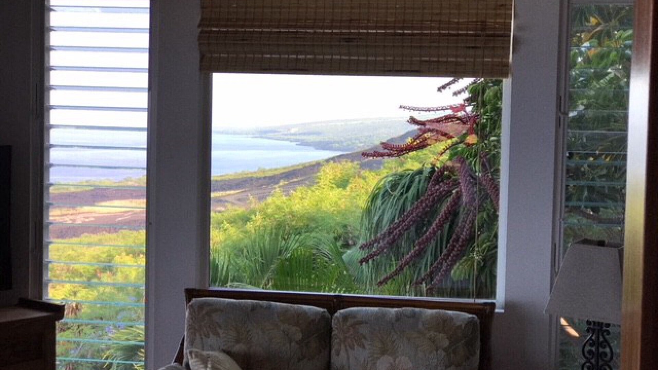 Photo of Others in Kona Paradise