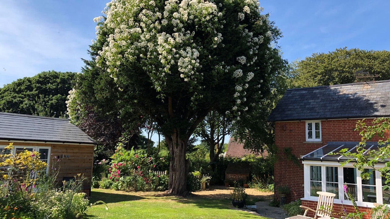 Photo of Others in New Forest District