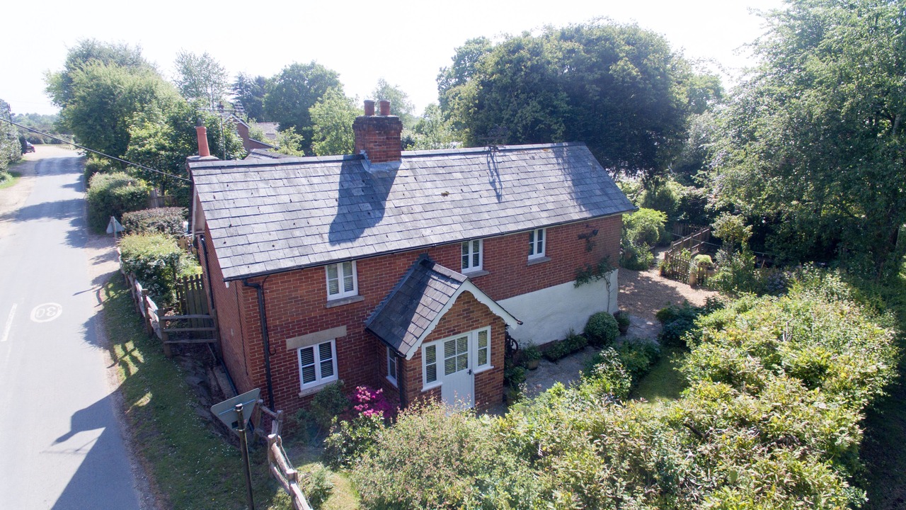 Photo of Others in New Forest District