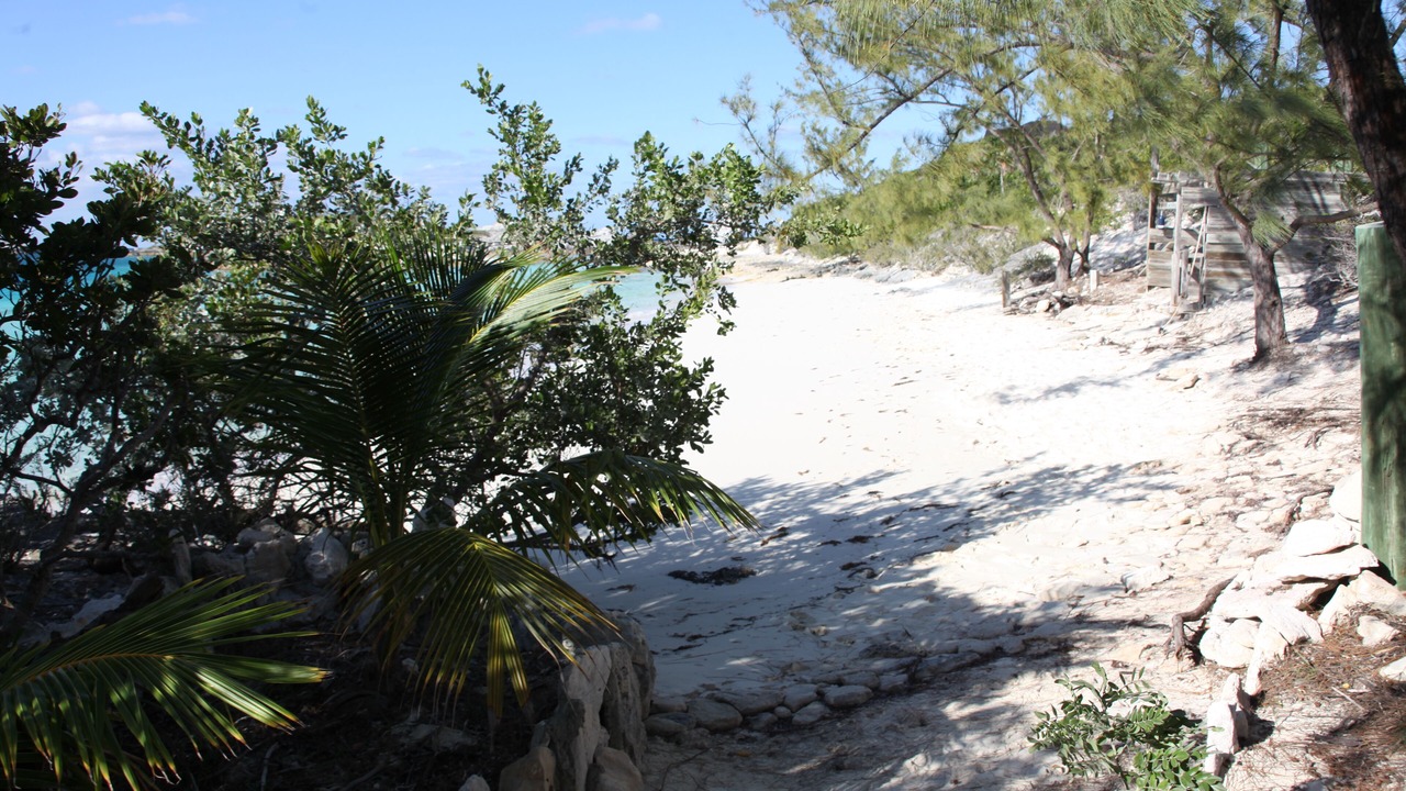 Photo of Others in Staniel Cay