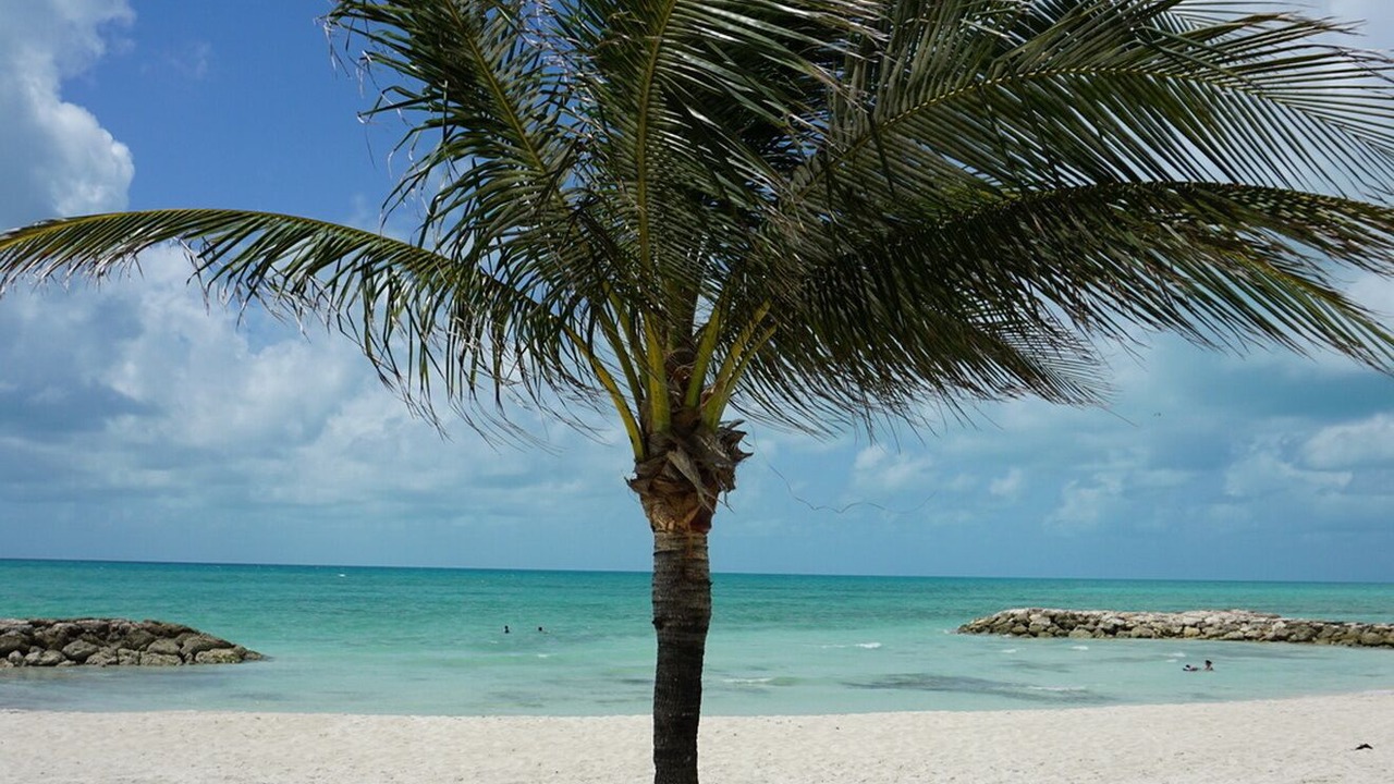 Photo of Others in Palm Cay