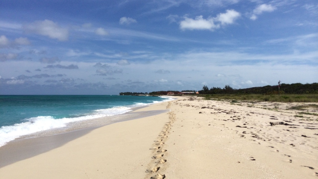 Photo of Others in South Bimini