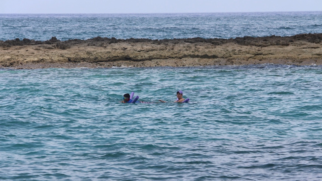 Photo of Others in South Bimini