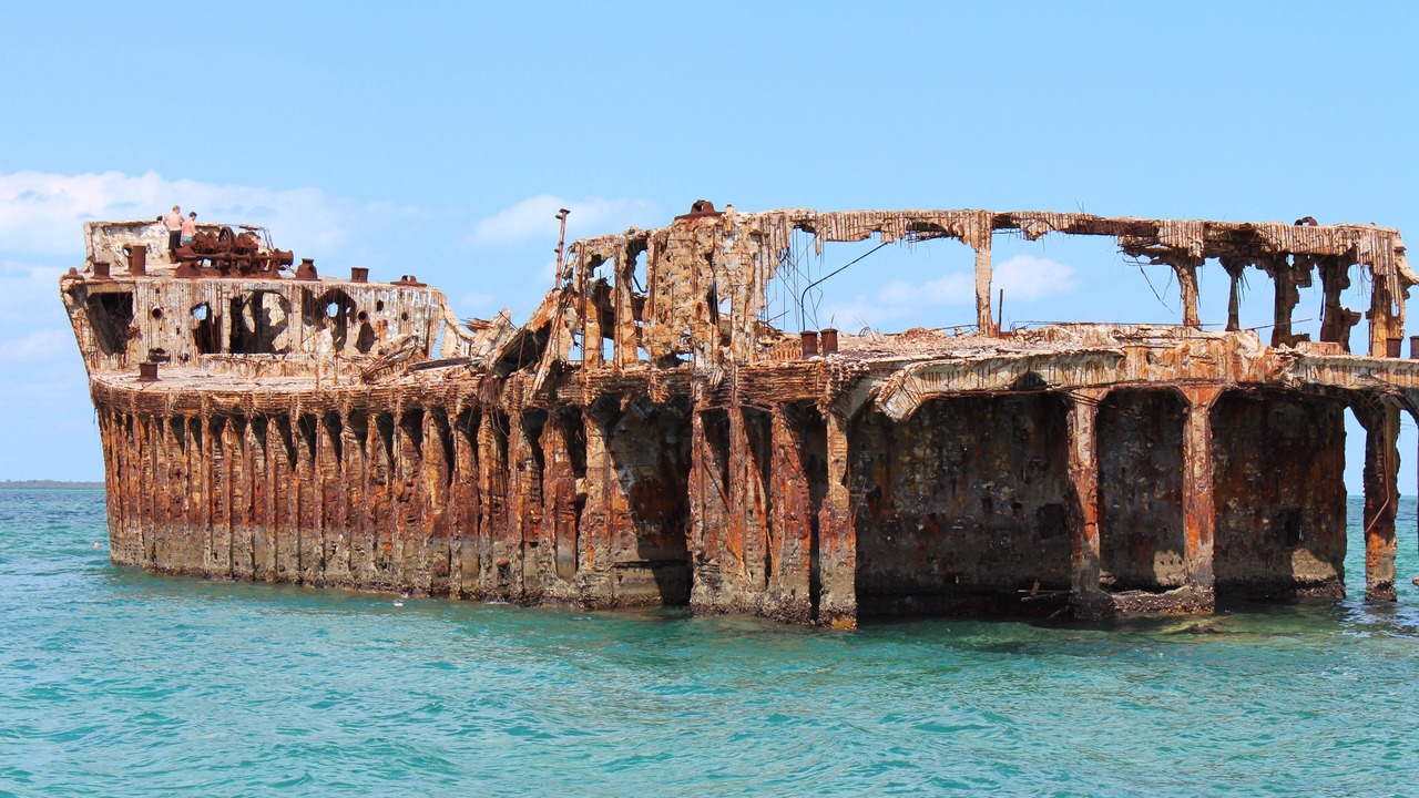 Photo of Others in South Bimini