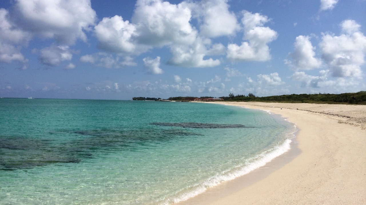 Photo of Others in South Bimini