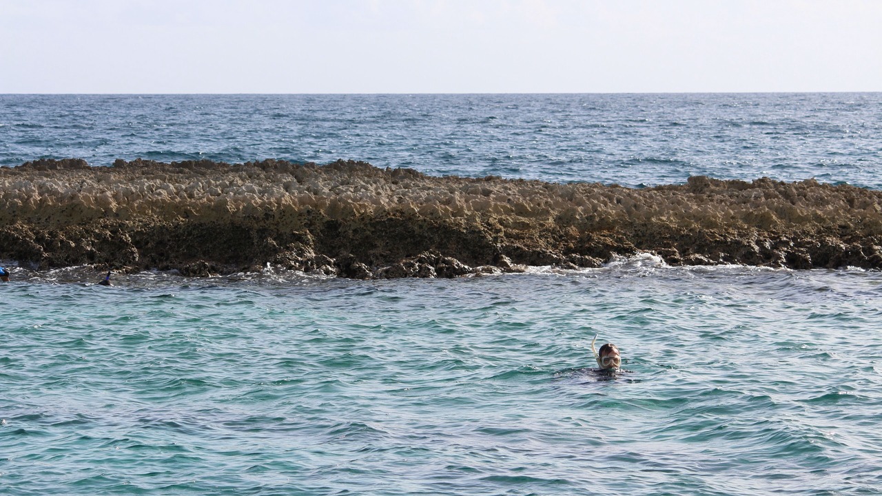 Photo of Others in South Bimini