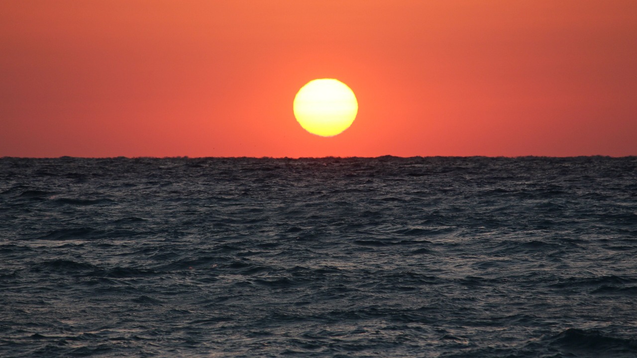 Photo of Others in South Bimini