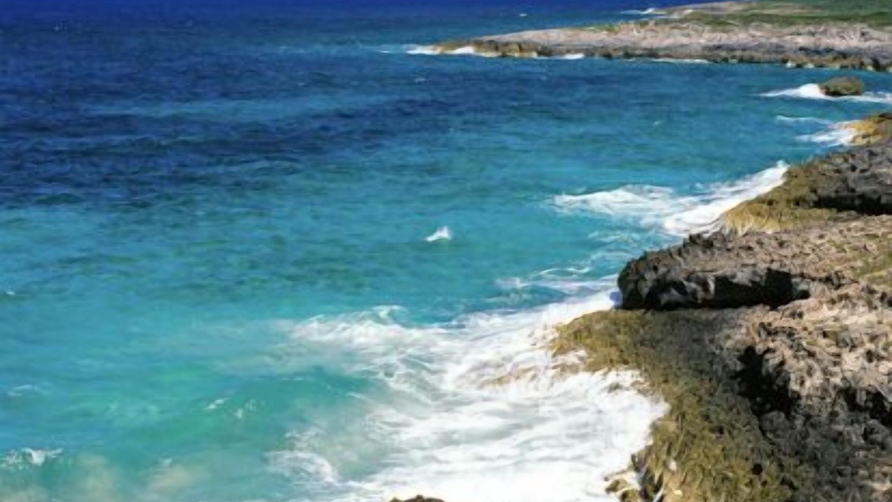 Photo of Others in Out Islands