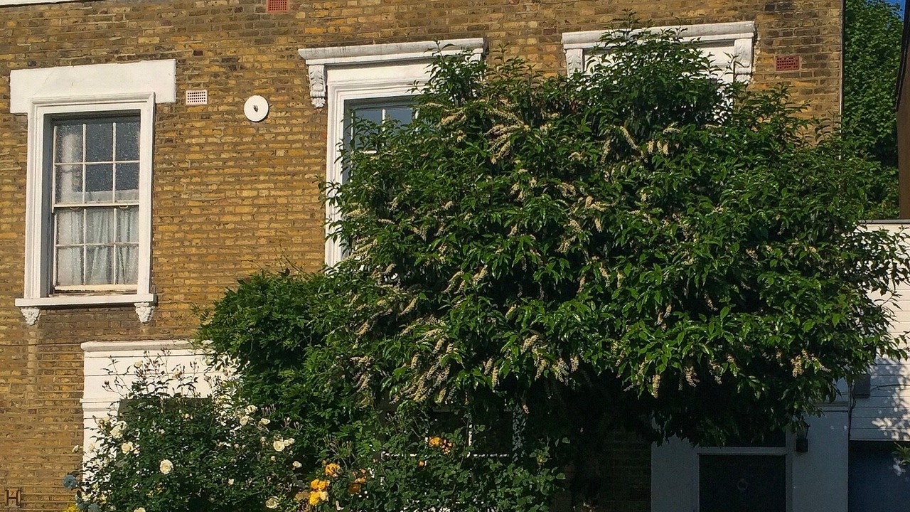 Photo of Others in Haverstock