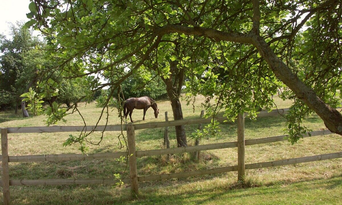 Photo of Others in Severn Stoke