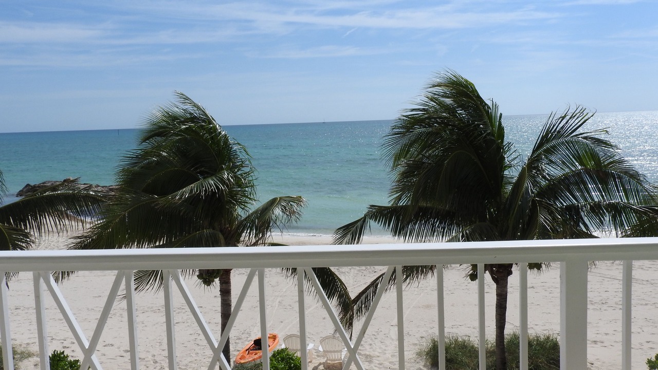 Photo of Others in Palm Cay