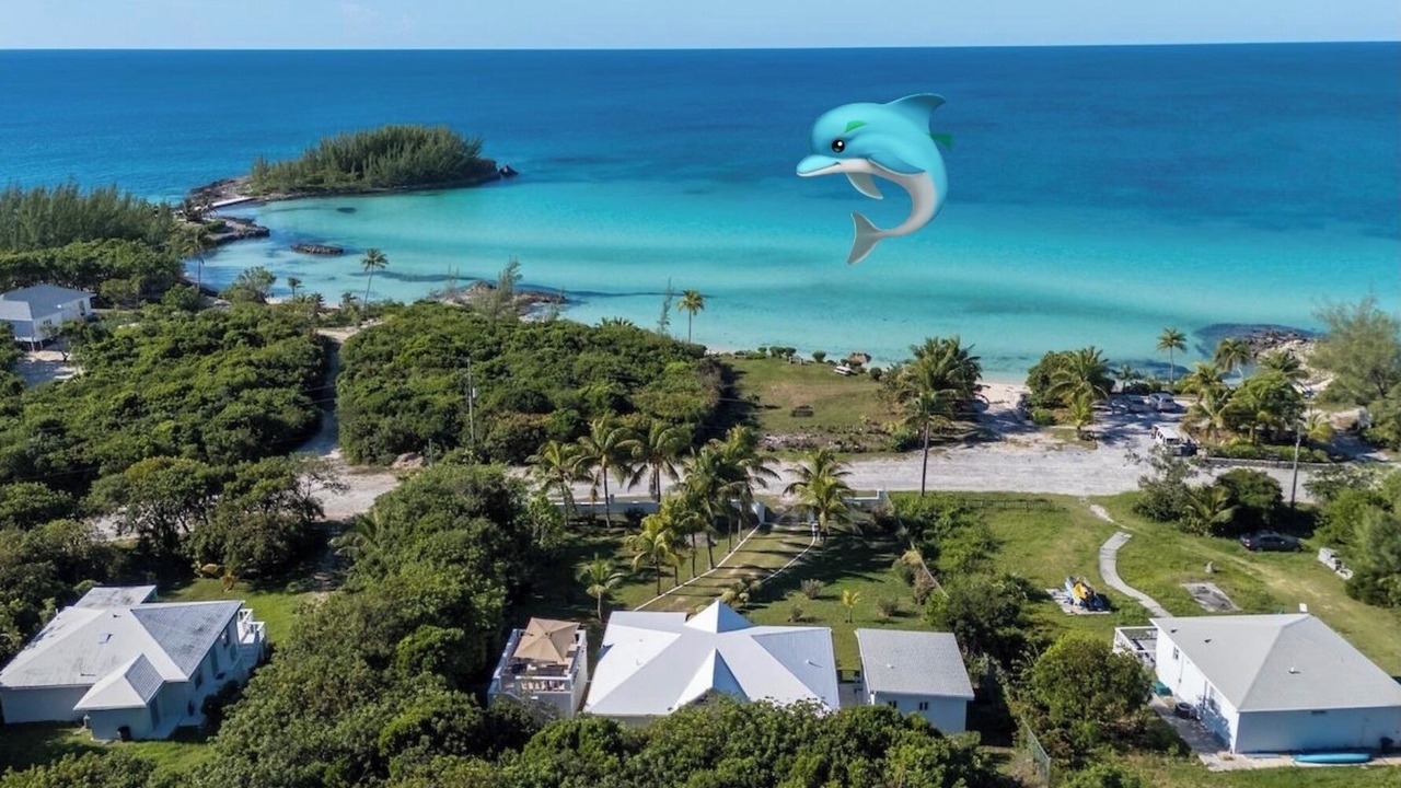 Photo of Outdoor in Rainbow Bay