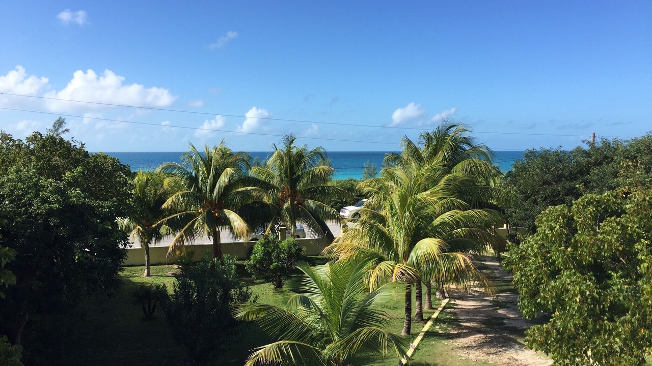 Photo of Outdoor in Rainbow Bay