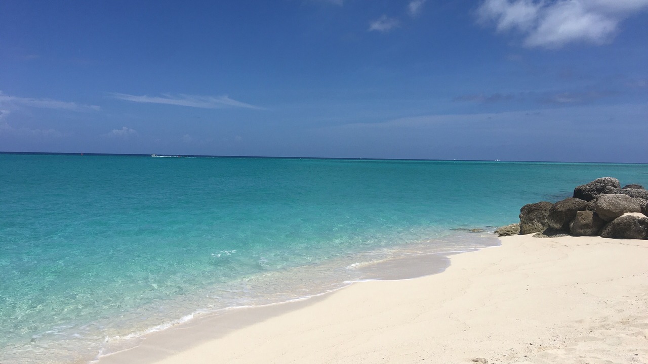 Photo of Others in South Bimini