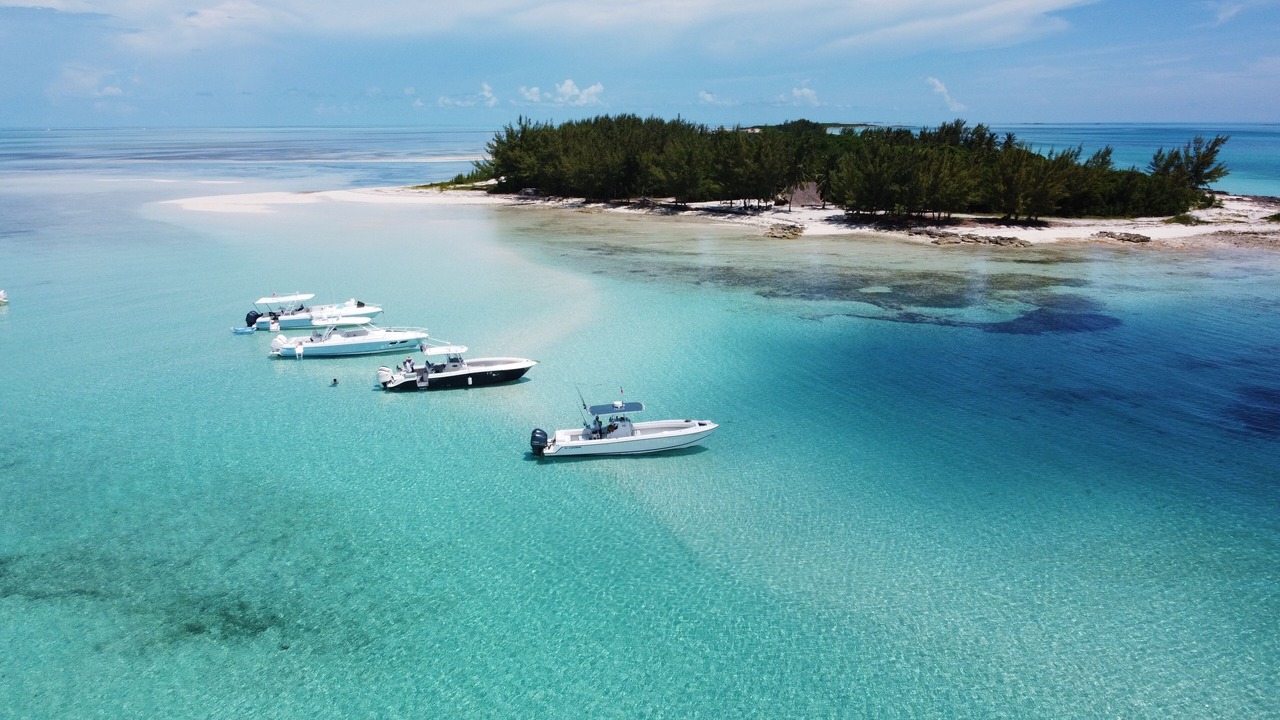 Photo of Others in South Bimini