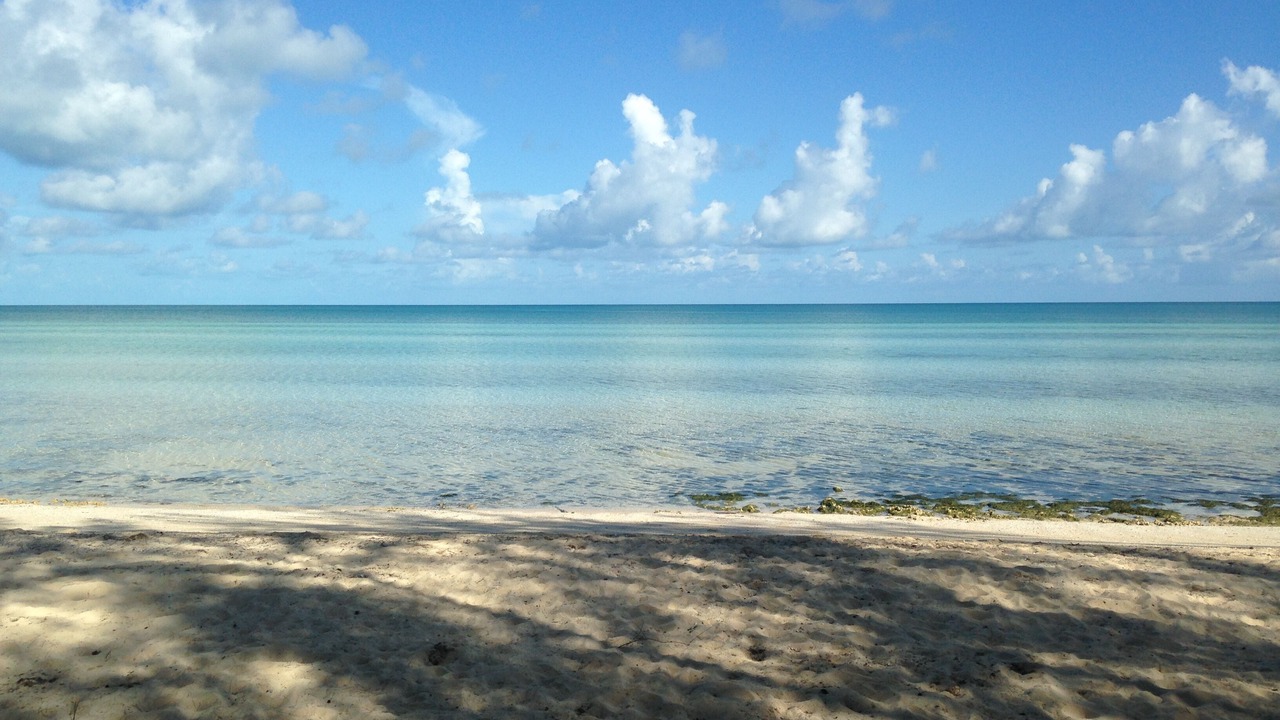 Photo of Others in Tarpum Bay
