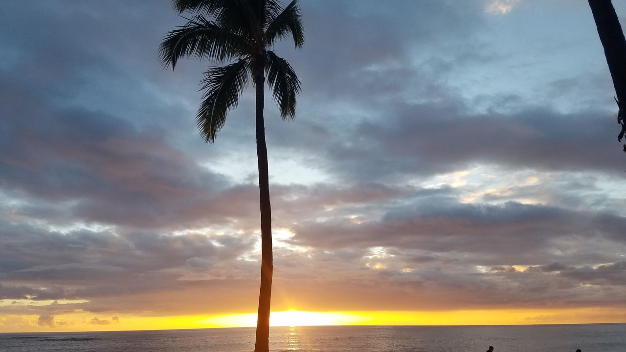 Photo of Others in Makaha