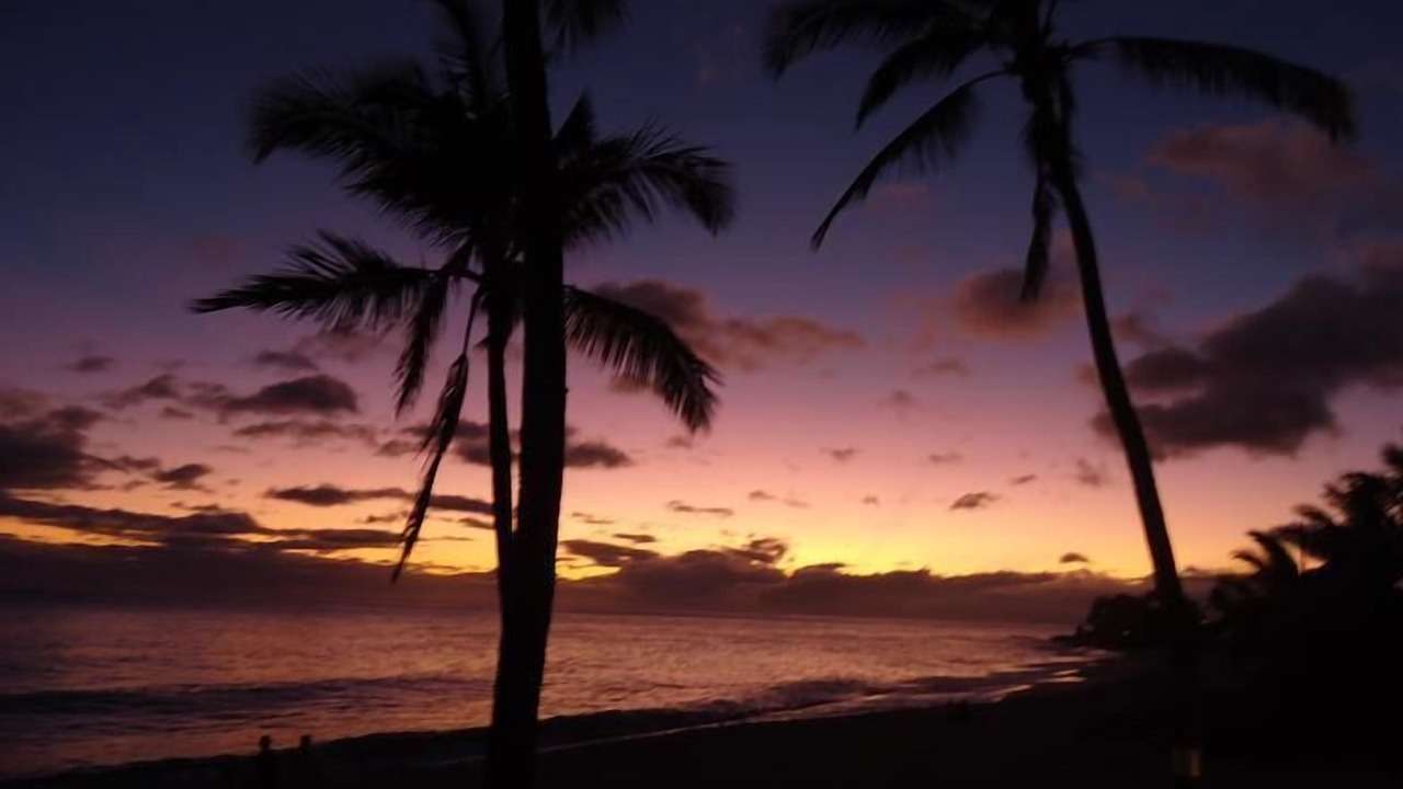 Photo of Others in Makaha