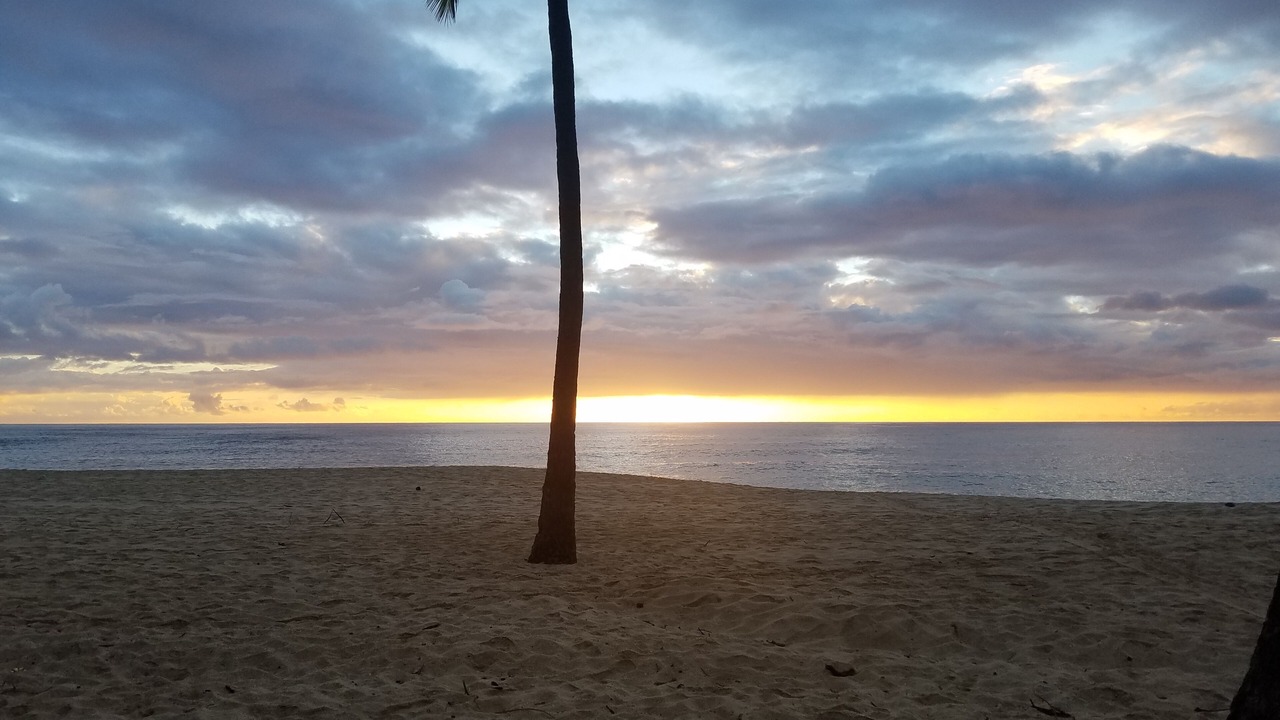 Photo of Others in Makaha