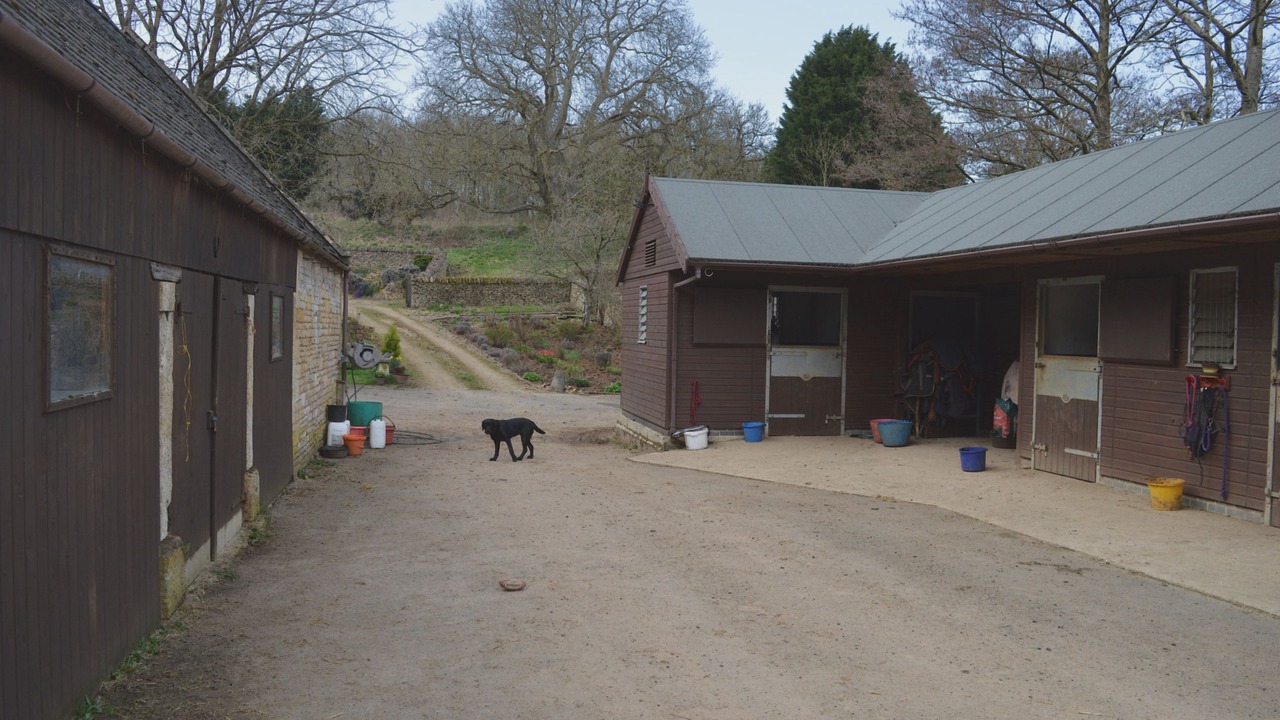 Photo of Others in Bourton