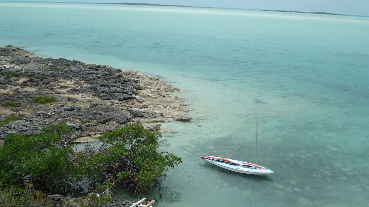 Photo of Others in George Town