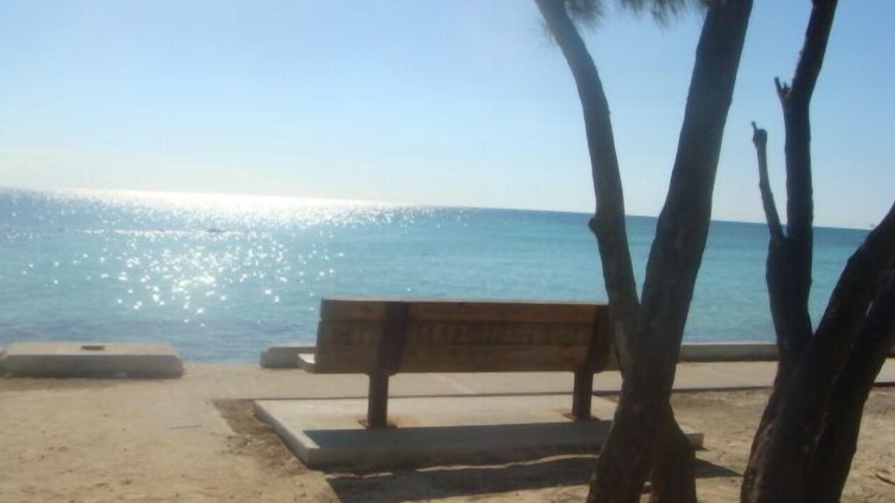 Photo of Others in Nassau