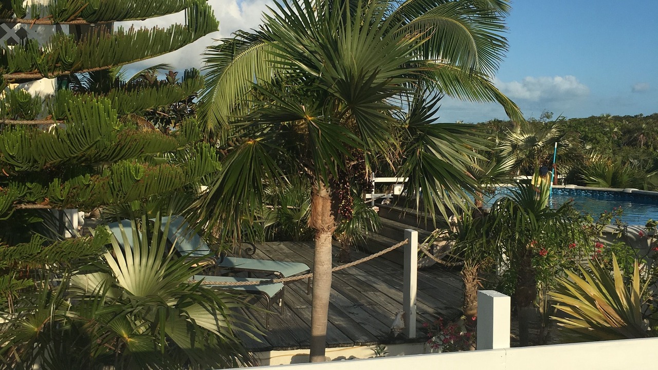 Photo of Outdoor in William's Town