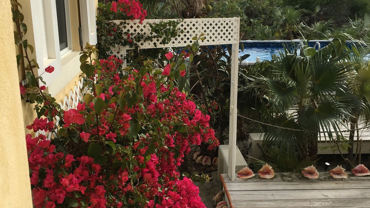 Photo of Outdoor in William's Town